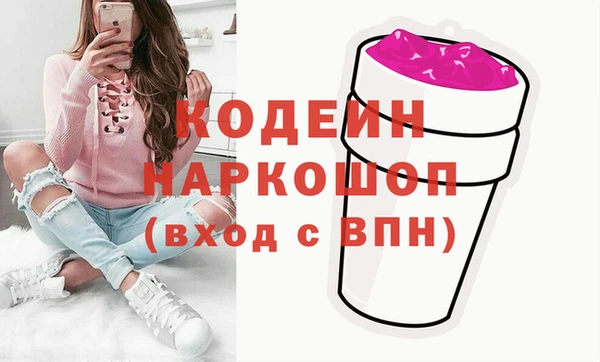 хмурый Арсеньев