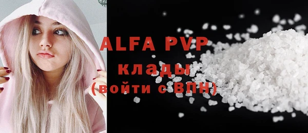 хмурый Арсеньев
