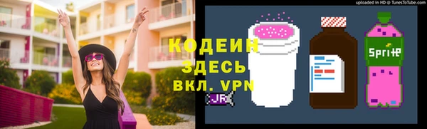 хмурый Арсеньев