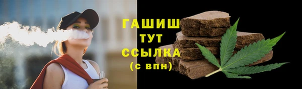 хмурый Арсеньев