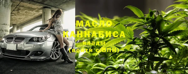 хмурый Арсеньев