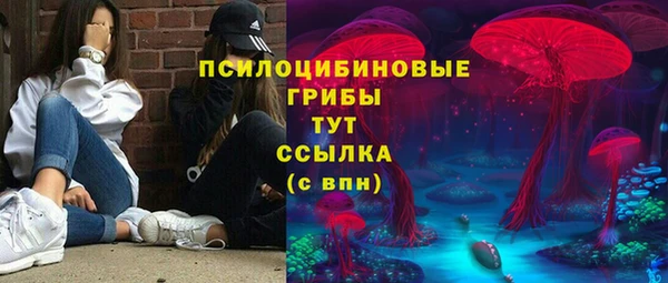 хмурый Арсеньев