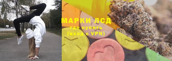 хмурый Арсеньев