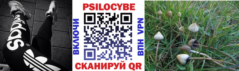 Псилоцибиновые грибы Cubensis  дарнет шоп  Стрежевой 